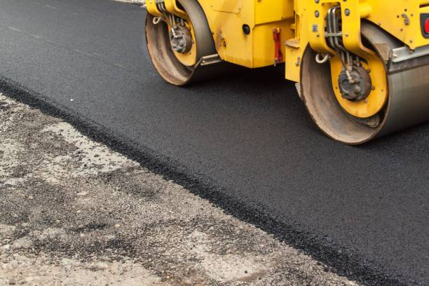 Best Local Driveway Pavers  in Santa Ana Pueblo, NM